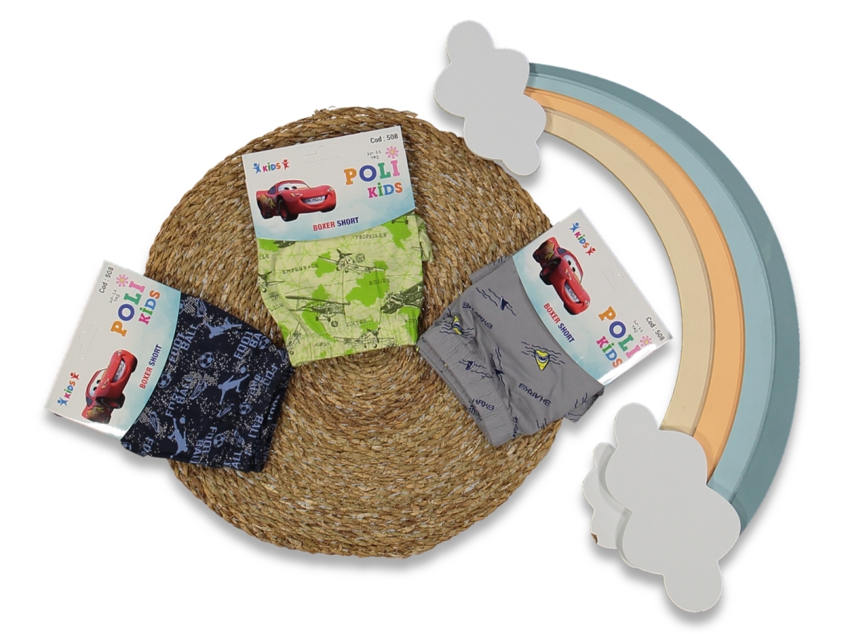 ERKEK 10/11  YAŞ KARIŞIK BASKILI 12'Lİ BOXER