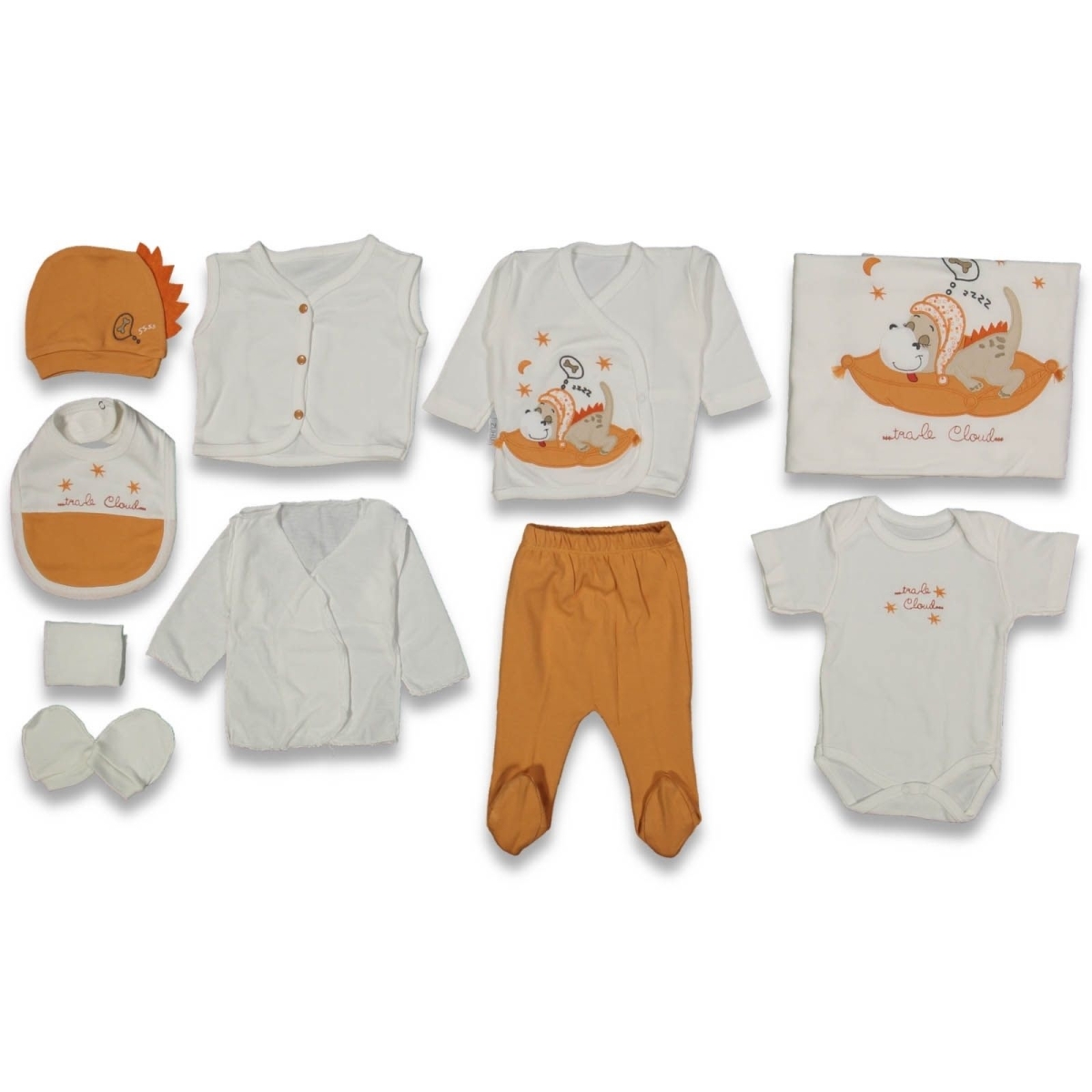 ERKEK 1/3 AY DİNO 10 LU SET