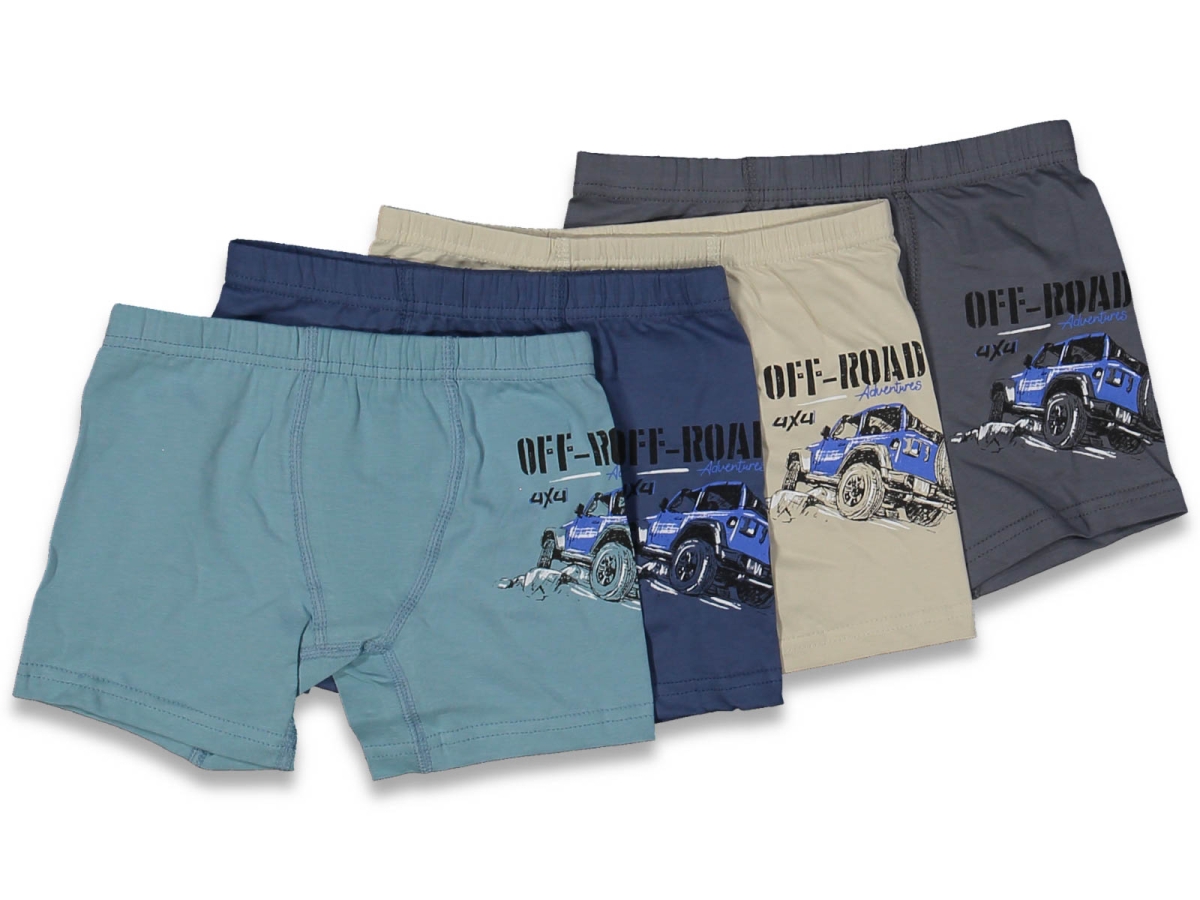 ERKEK 4/5  YAŞ KARIŞIK BASKILI BOXER