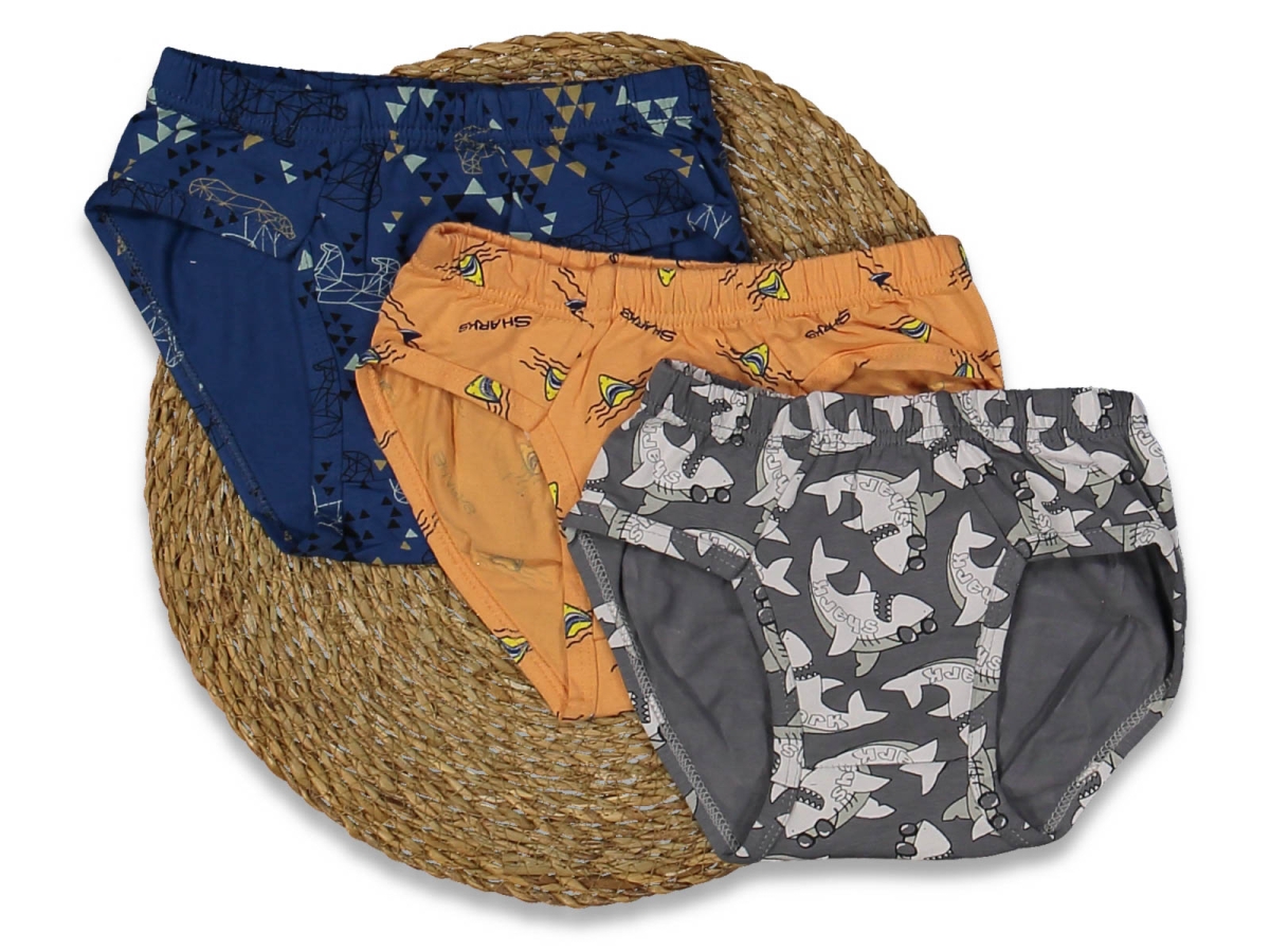 ERKEK 6/7 YAŞ DESENLİ SLİP