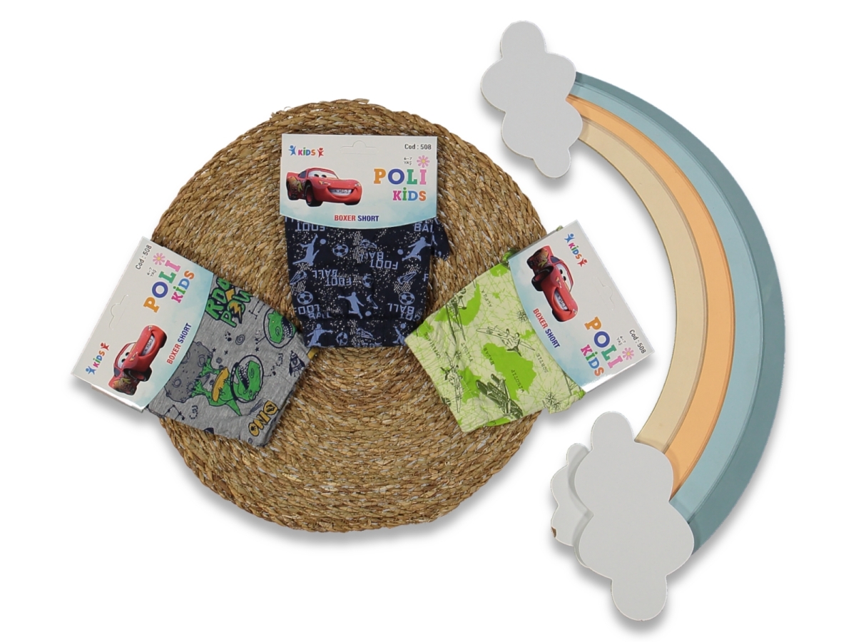 ERKEK 6/7  YAŞ KARIŞIK BASKILI 12'Lİ BOXER