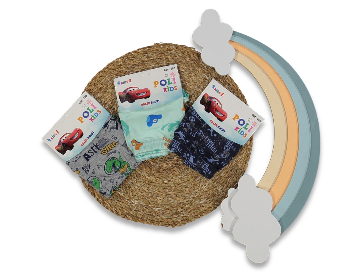 ERKEK 8/9  YAŞ KARIŞIK BASKILI 12'Lİ BOXER