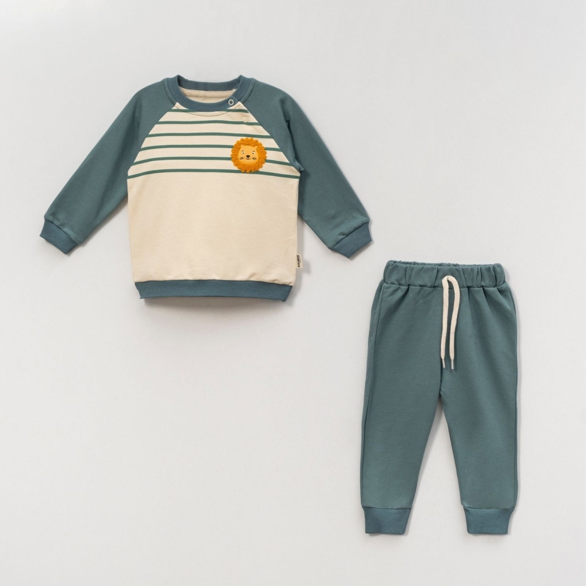 ERKEK 9/24 AY  ÇİZGİLİ ASLAN NAKIŞLI MEVSİMLİK TAK