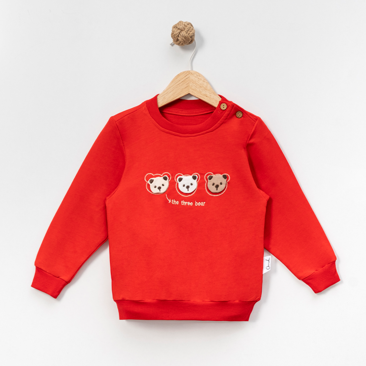 ERKEK ÇOCUK 1-4 YAŞ APLİKE AYICIKLI SWEAT