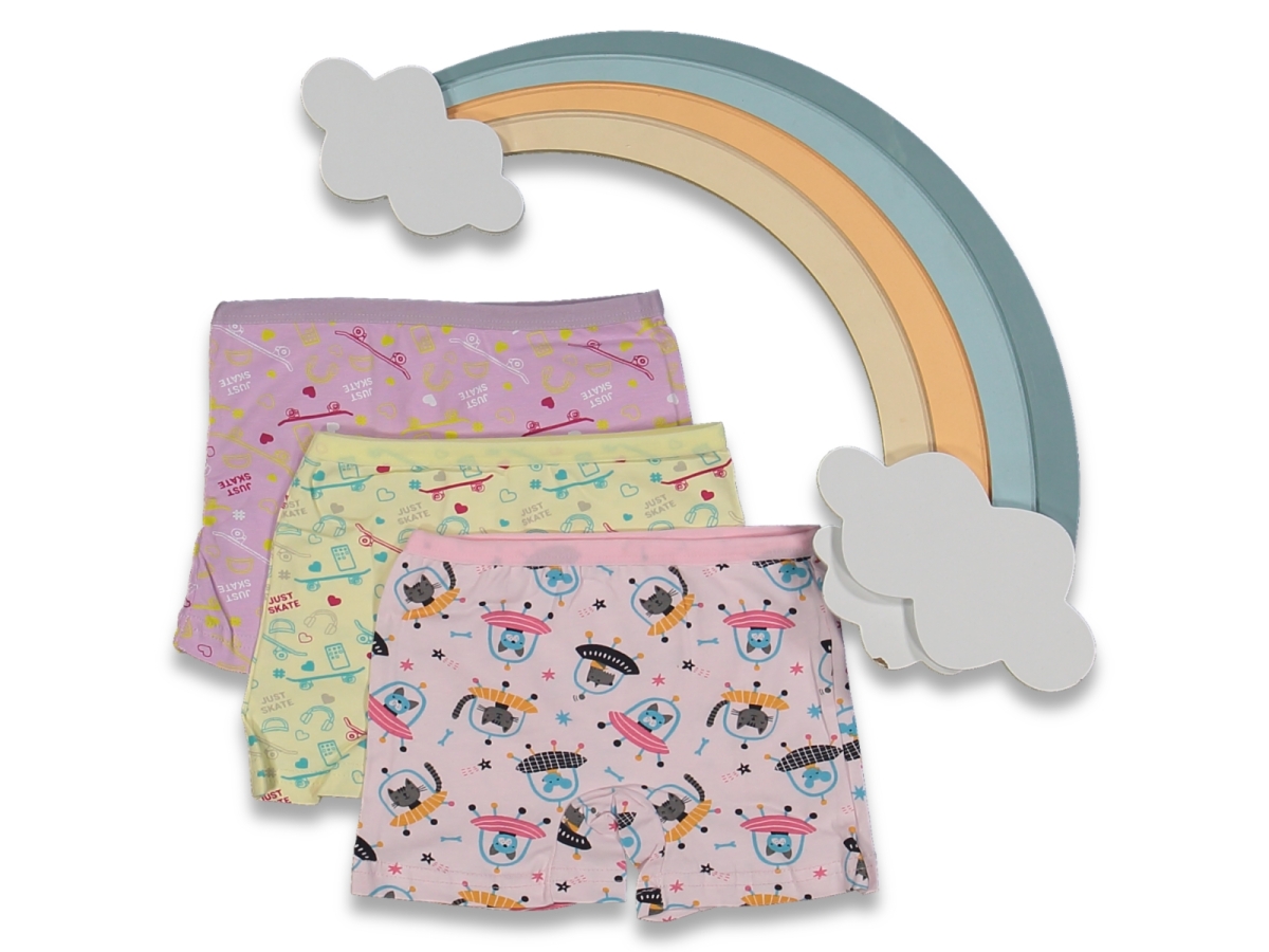 KIZ 2/3  YAŞ  KARIŞIK BASKILI 12'Lİ BOXER