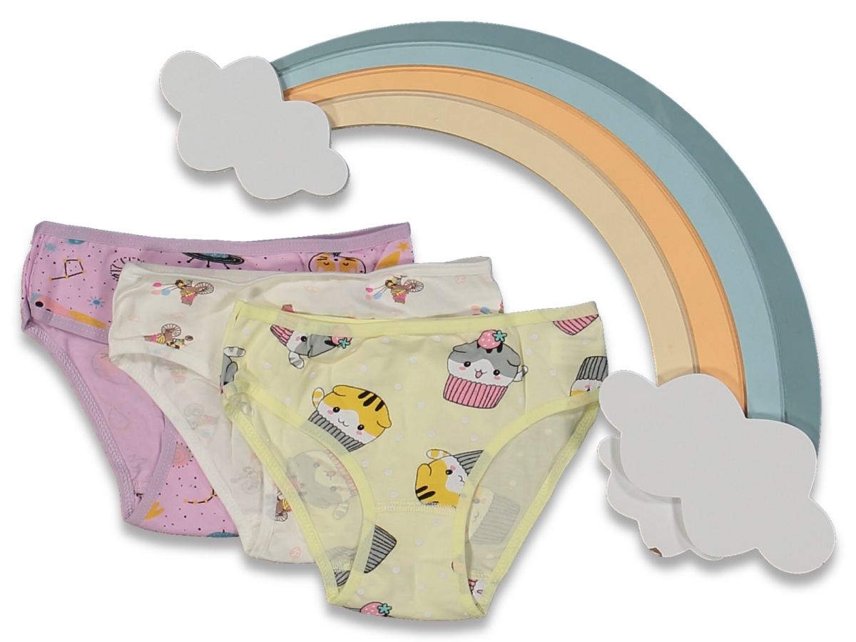 KIZ 2/3  YAŞ KARIŞIK BASKILI 12'Lİ SLİP KİLOT