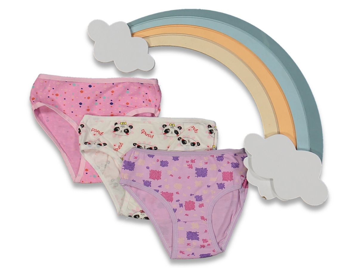 KIZ 4/5  YAŞ KARIŞIK BASKILI 12'Lİ SLİP KİLOT