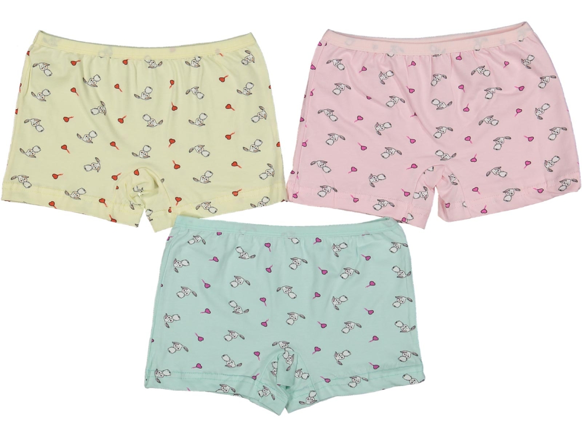 KIZ 4/5  YAŞ KARIŞIK DESENLİ BOXER