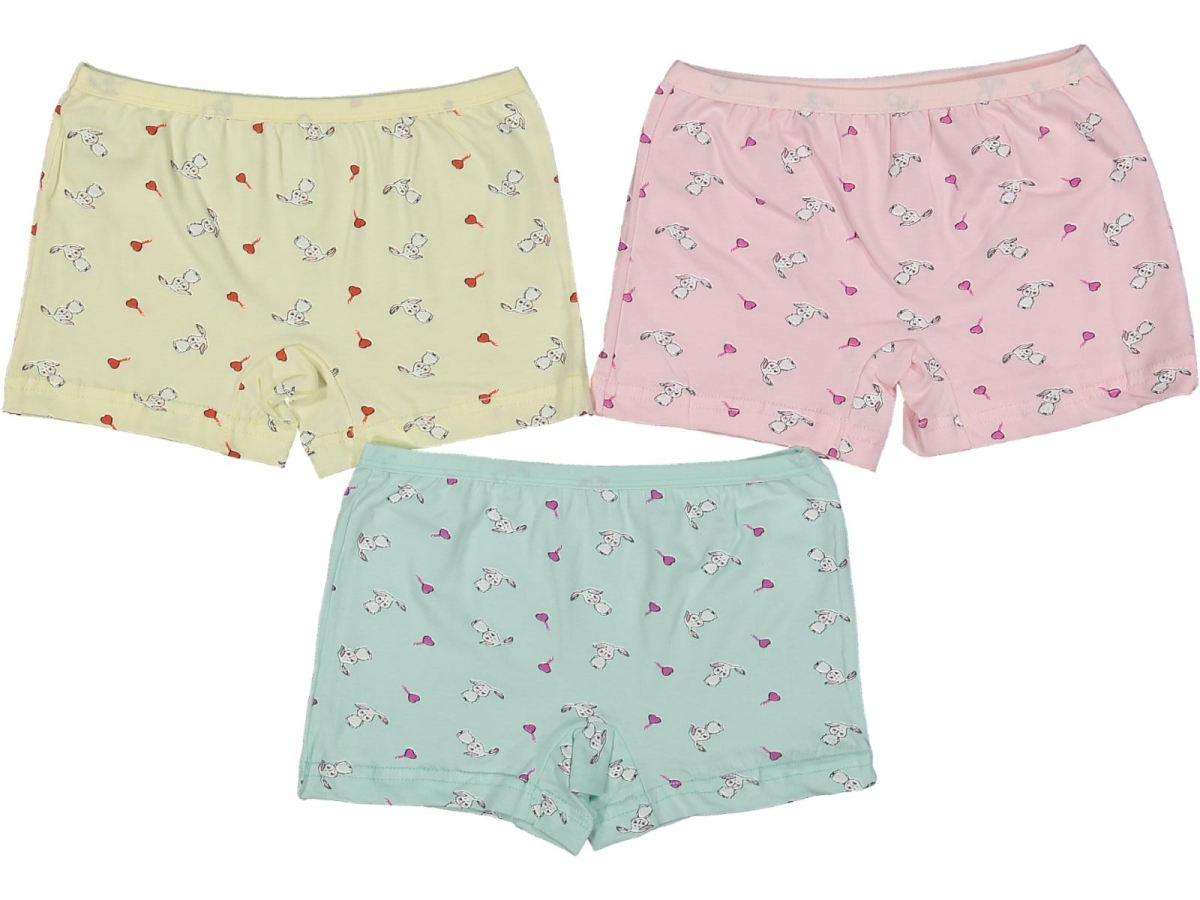 KIZ 8/9  YAŞ KARIŞIK DESENLİ BOXER