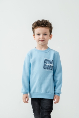 5-8 yaş erkek sweat