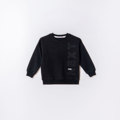 5-8 yaş erkek sweat