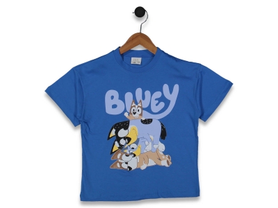 ERKEK 5/9 YAŞ BLUEY TİŞÖRT