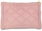 PUDRA