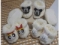 UNISEX KARAKTERLİ 12 Lİ WELSOFT PATİK